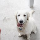 앙꼬맘마 이미지