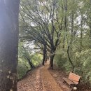 경기둘레길 김포고양4코스 | 2025.10.18 경기둘레길 김포 고양 4코스 : 전류리 포구 ~ 동패지하차도