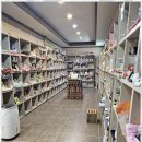 펫바라기 이미지