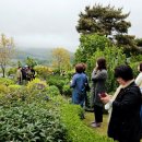 주택정원 셀프정원디자인 이미지