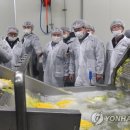 서울원예농업협동조합 이미지