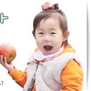 홍삼사과농원