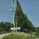 다온숲 - 김포시 전원로 5 | 대전 아이와 물놀이 어디 갈까? 취사 가능한 세종 다온숲 수영장 다녀온 후기