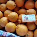 김경철농장 이미지