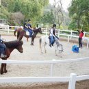 김산농장 이미지