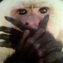 아싸플레이 | #166[강남방탈출]플레이더월드 강남점, 이웃집 또털어...없어서 3년동안 고민만 하다가 둘이서 다녀온 후기