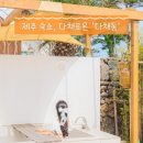 다채로온 이미지