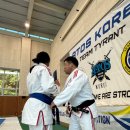 팀타이런트 유도 | 🥋✨ 2025 아토스코리아 팀타이런트 벨트 프로모션 &amp; 트레이닝 여름캠프 참가 후기 ✨🥋