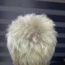 소피아헤어샵 이미지