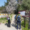 선유교차로 이미지