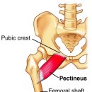 율하5로 이미지