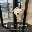 노니멀티카페