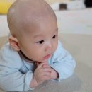 제주굿모닝투어
