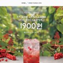 파리바게뜨 용인한보라점