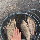 고구낚시터 이미지