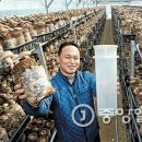 용기농장 이미지