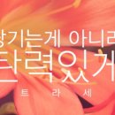 세라케어 이미지