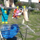 무릉초등학교 병설유치원 이미지