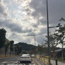 크리닝 114 | 대전 한화생명볼파크 114구역 10열 통로석 직관 후기