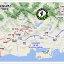 석포5교 Daum카페