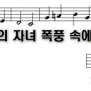 81 이미지