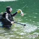 울산잠수