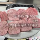 3072 | [오사카 가족여행]29주 임산부 오사카 가족여행 1탄_오사카 야키니쿠 쿠이야 내돈내산 후기