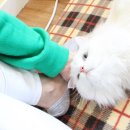 하루식빵 이미지