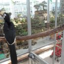 경주버드파크 이미지