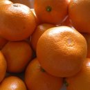 제주도 푸른밤 이미지