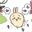 우사기 이미지