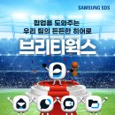 브리티 이미지