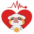 케이안경 이미지