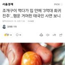 조개구이 먹다가 입 안에 '3억대 희귀 진주'…행운 거머쥔 태국인 사연 보니 이미지