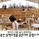 세정트레몰로주 - 강릉시 경강로 2120 | 용인 동백쇼핑몰 동춘175 층마다 다른 쉼이 존재하는 층별 소개