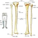 알엠 피트니스 이미지