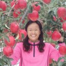 김미숙농장 이미지