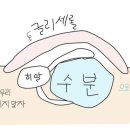 리바이브 | 벨로테로 리바이브 솔직 후기 + 리쥬란 비교