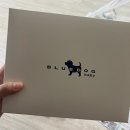 성준오리 | 1월 일상 (+대전 한스푼)