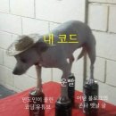 (주)포빅 이미지