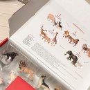 아가메농장 | 엄마표 몬테소리, 호르메 피규어 내돈내산