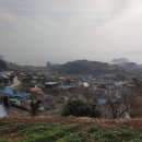 새남해농협금음주유소 네이버블로그