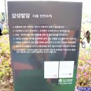 부산시민공원 뽀로로도서관 이미지
