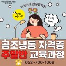[공지] 세부 씨홀스 스쿠버 다이빙 여름휴가 후기 / 공조냉동기계기능사(산업기사)자격증 응시자격...