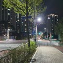 서현빌딩 | 안양시 동안구 분위기 임장 후기