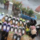 꽃그림 천아트 이미지