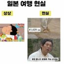 미뇽 이미지