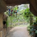 빛나라컴퓨터드라이클리닝 | 비 오는 날 어디 갈까? 마곡 서울식물원 방문 후기🌿