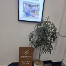 부엉이하우스 이미지