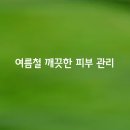 여름철 깨끗한 피부 관리법 이미지